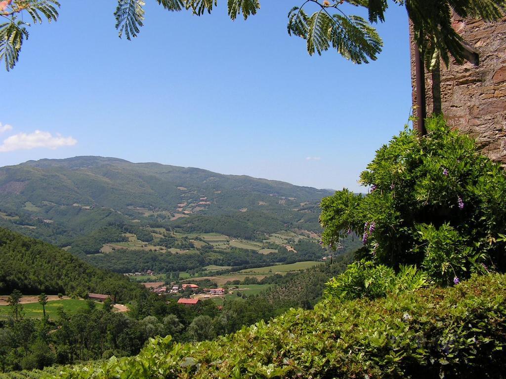 Fattoria Il Lago Dicomano Phòng bức ảnh