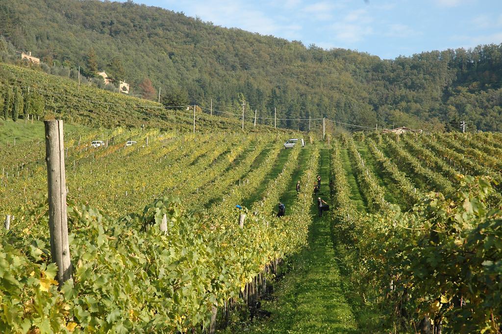 Fattoria Il Lago Dicomano Ngoại thất bức ảnh